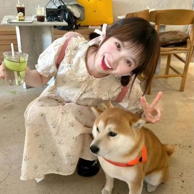 迷墙